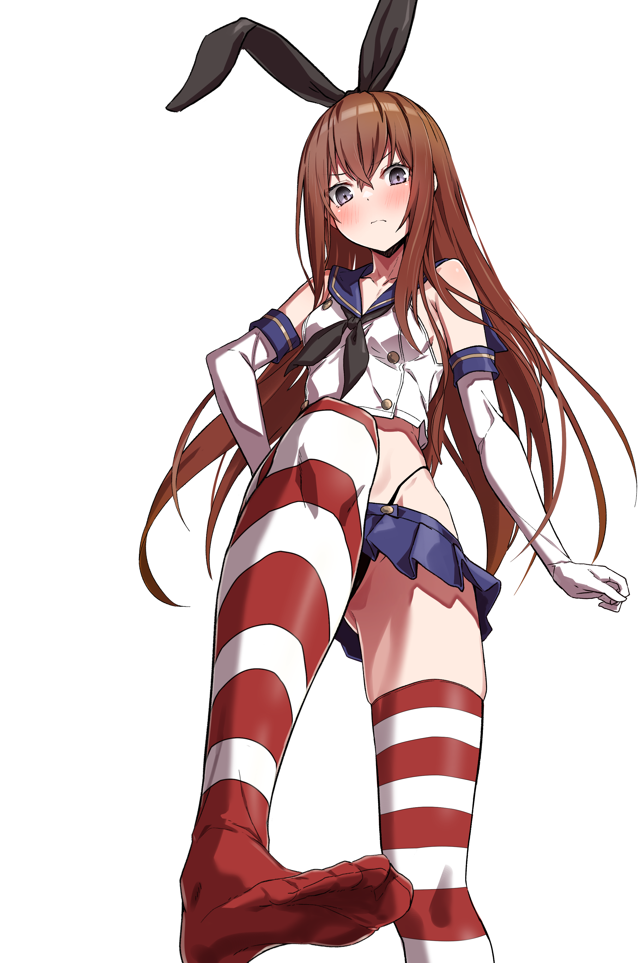 2466x3692