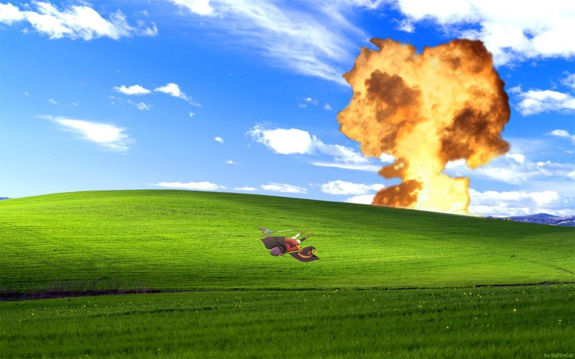 1131x707