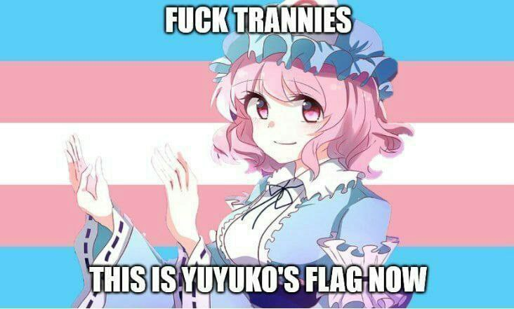732x441