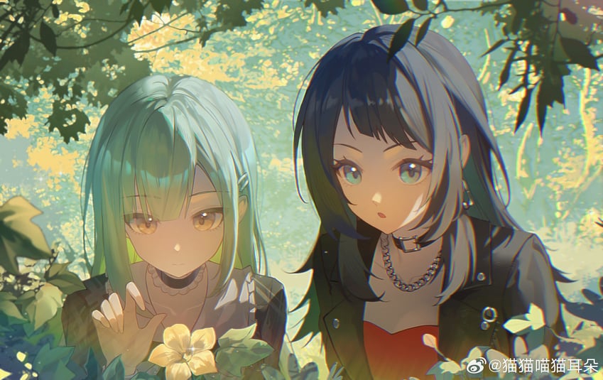 849x535
