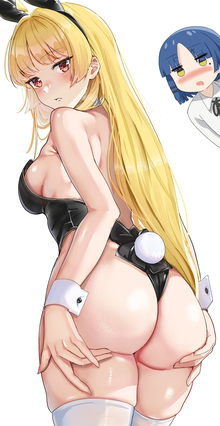 850x1641