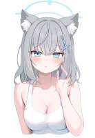 3800x5500