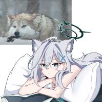 834x837