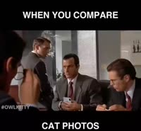 460x426