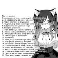 736x736