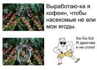 811x588