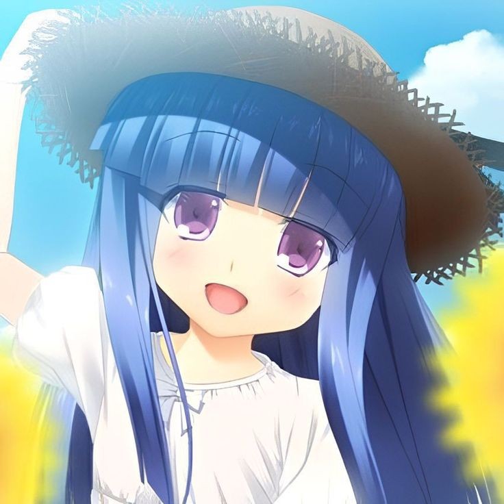 736x736