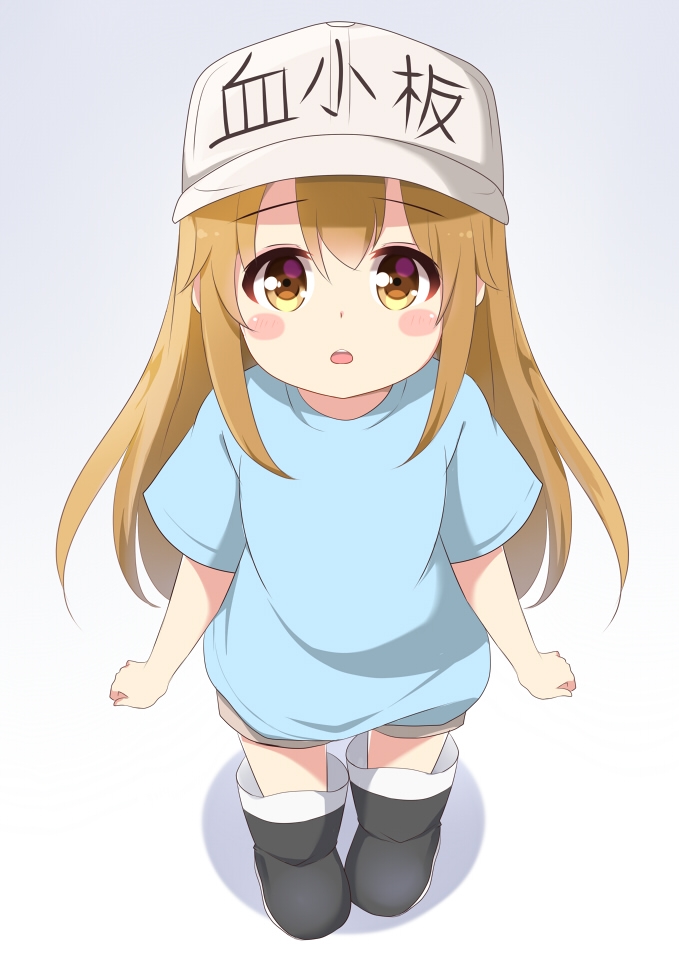 679x960