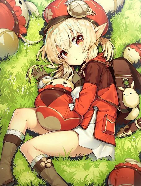 455x600
