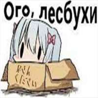720x720