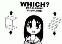 498x361