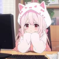 736x736