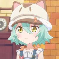 736x736