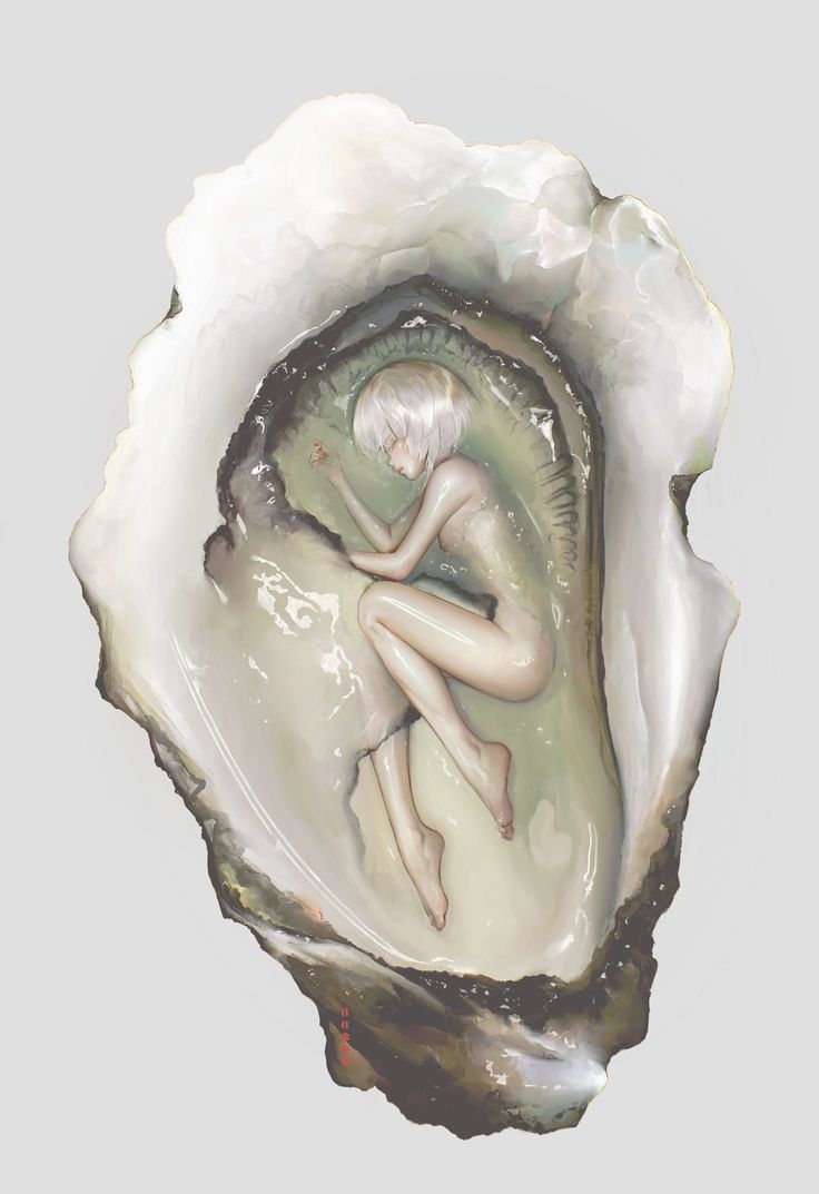 736x1073