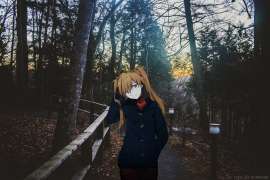 2560x1709