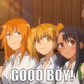 498x498
