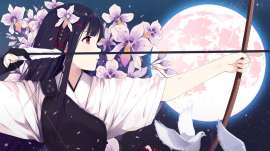 1366x768