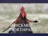 960x720