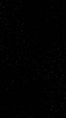 412x732