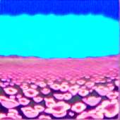 1000x1000