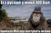 1280x849