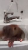 360x640