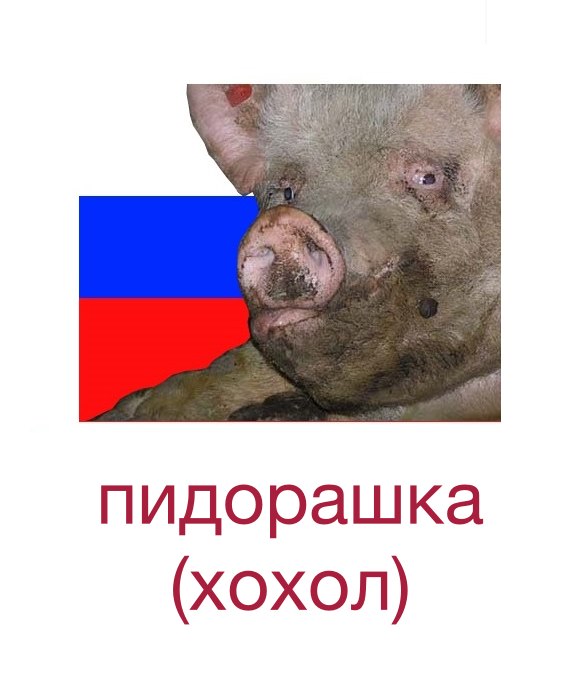 582x696