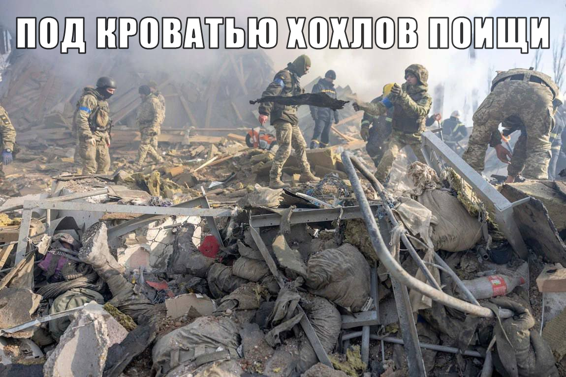 1150x767