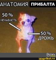 450x481