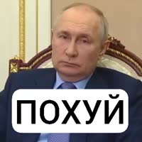 384x384