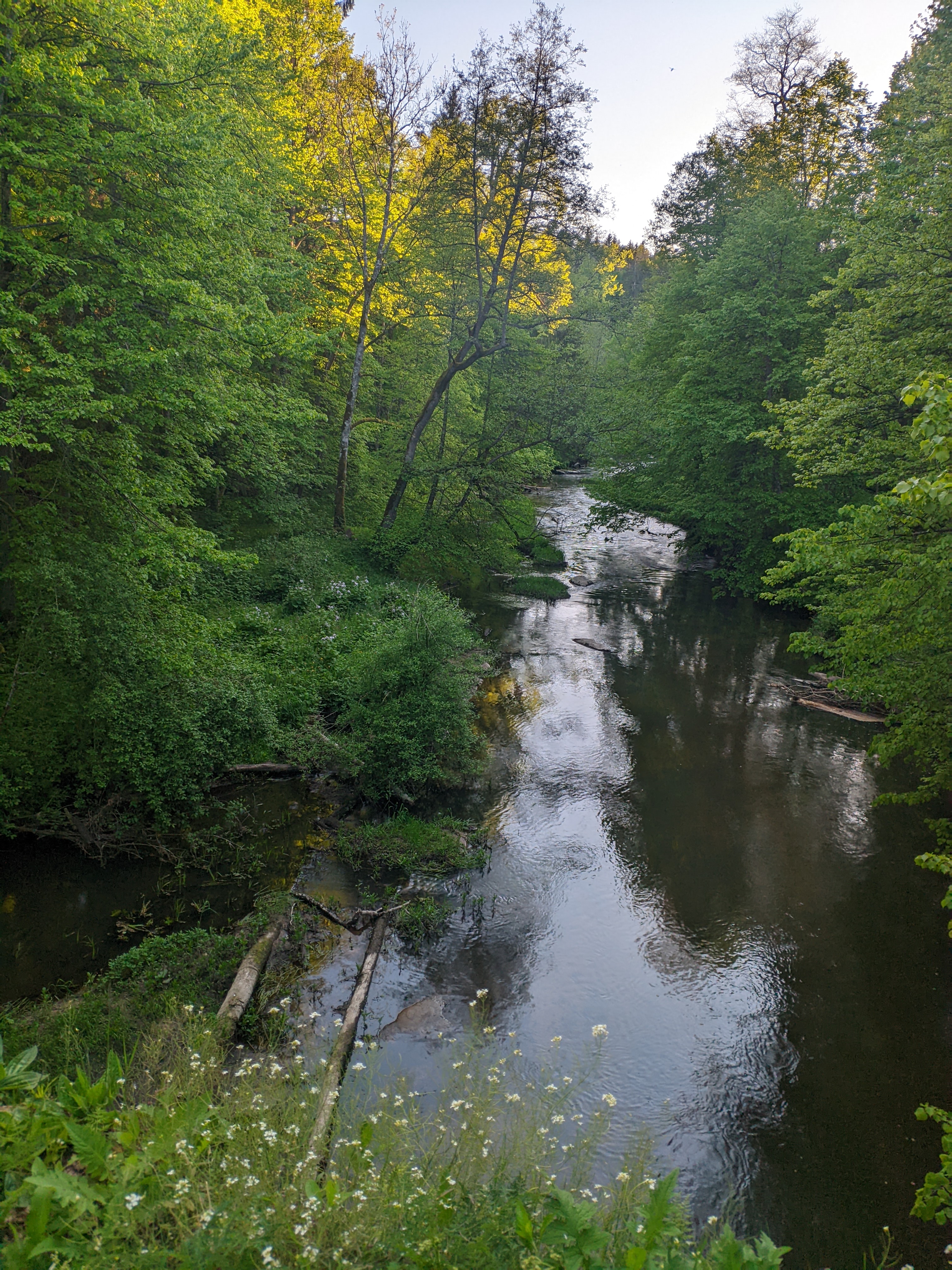3024x4032
