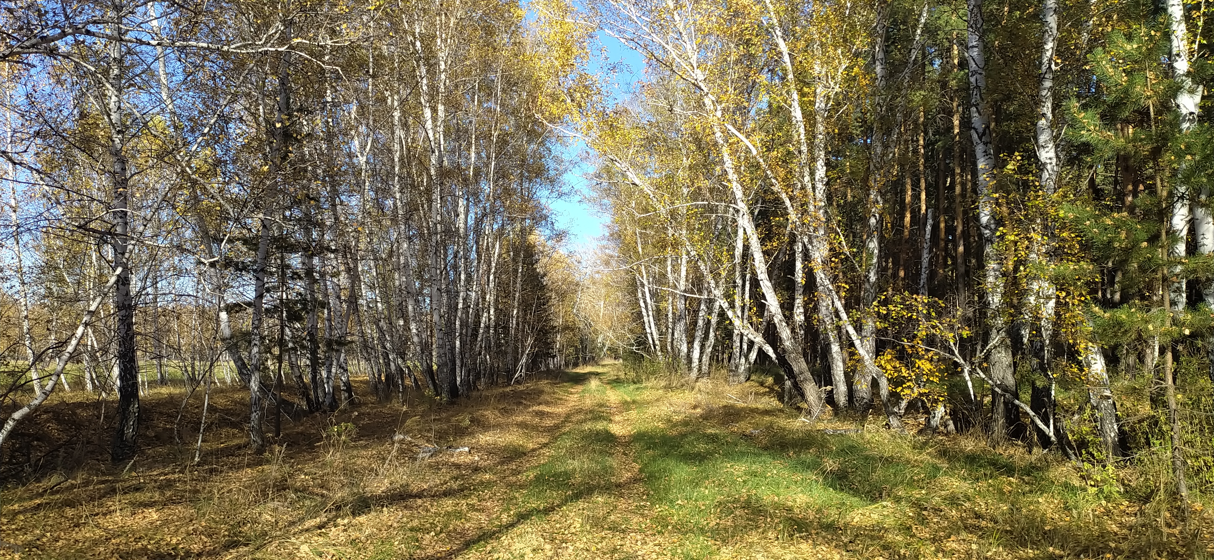 4000x1844