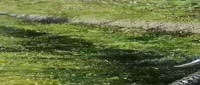 840x360