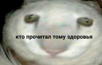 1080x701