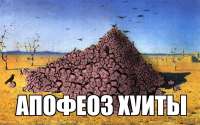 604x379