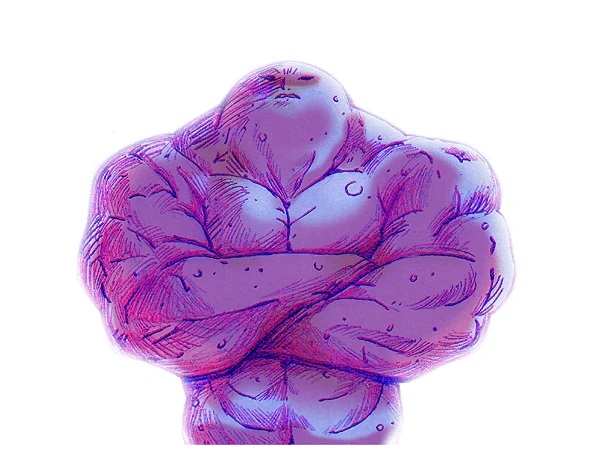 595x464