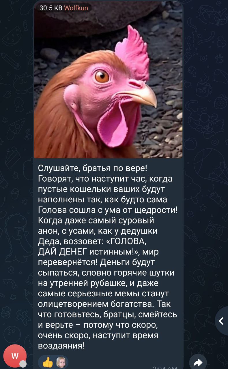 790x1280
