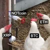 1280x1280