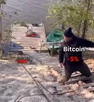 592x640