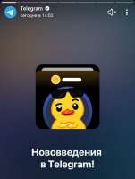 967x1280