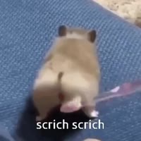320x320