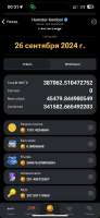 590x1280