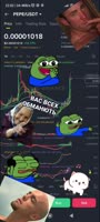 384x848