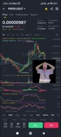 384x848