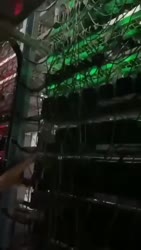 320x564
