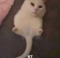 720x698