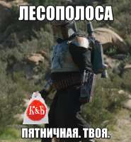 598x644