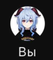 603x681