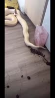 360x640