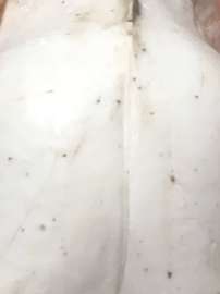 960x1280